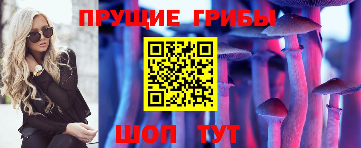 Псилоцибиновые грибы Psilocybe  Галлюциногенные грибы мухоморы  Вышний Волочёк  Вход с VPN 